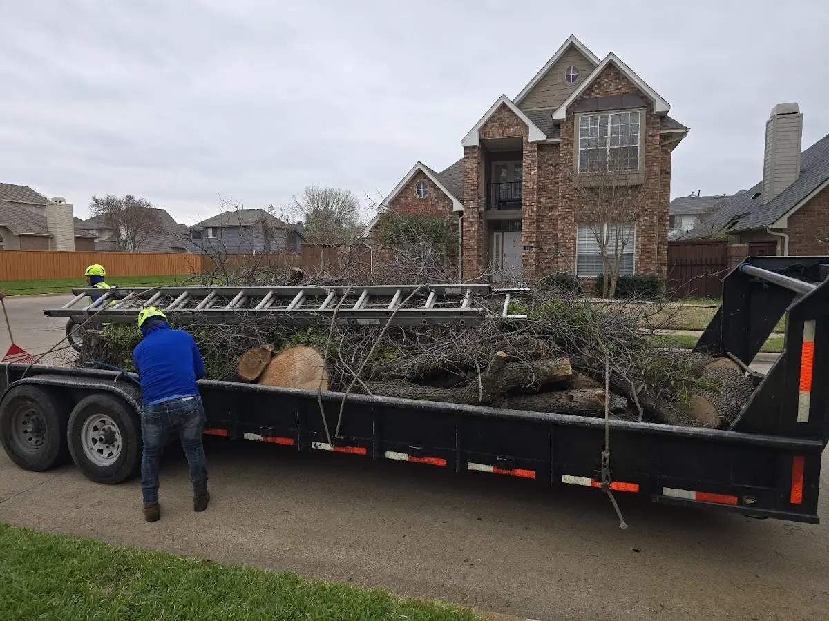 Expert Tree Removal with proper safety equipment in Hannastown